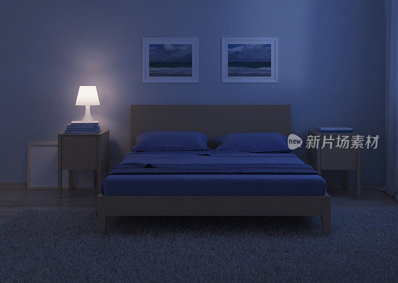 卧室内部采用冷色调。夜间照明。3 d渲染。